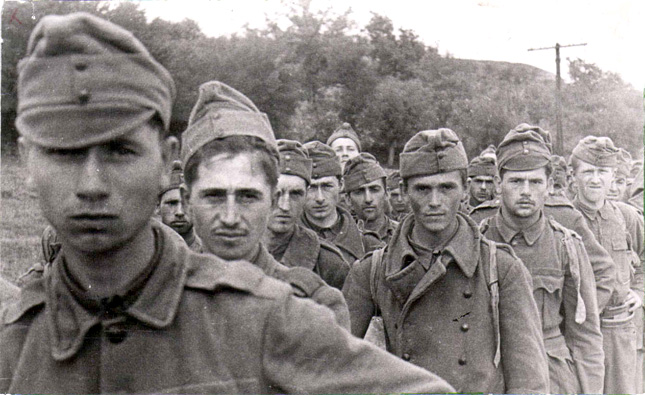 A 2. magyar hadsereg a keleti fronton.  IV. rész. A naplók