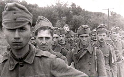 A 2. magyar hadsereg a keleti fronton.  IV. rész. A naplók