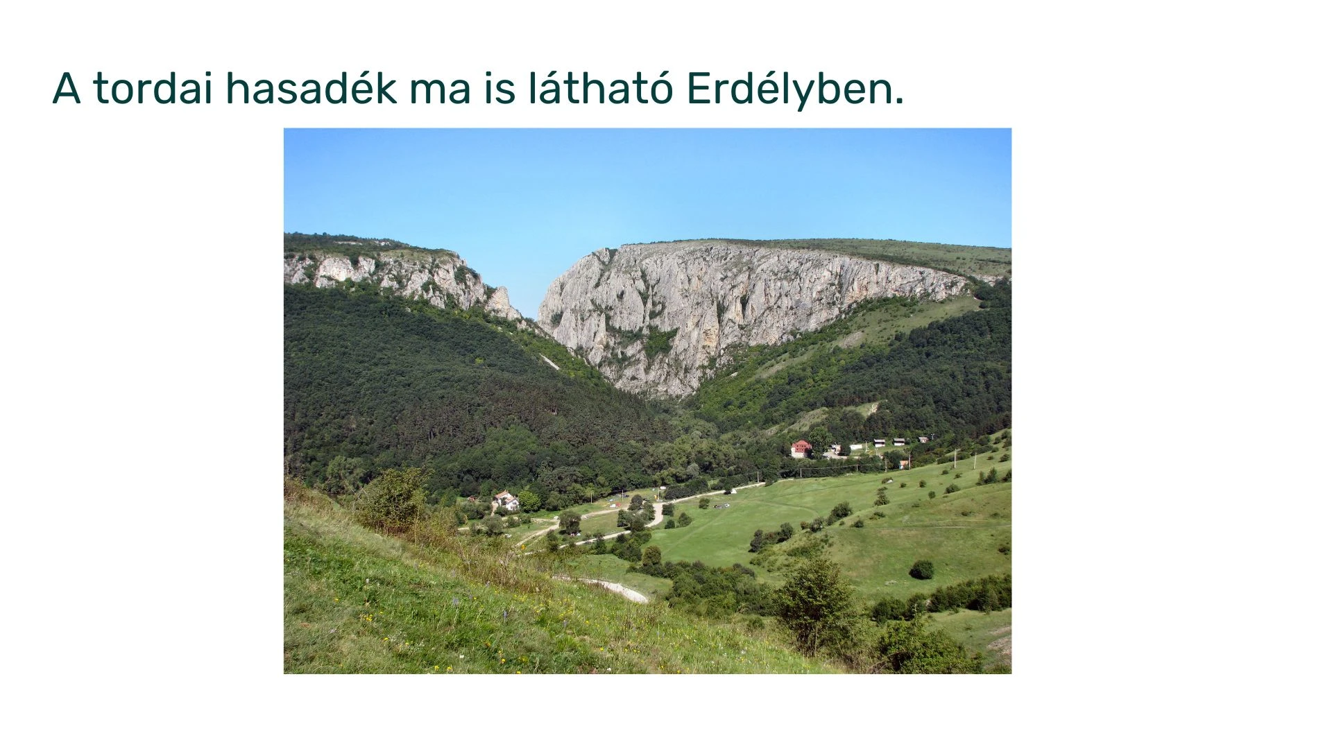 tordai-6.webp